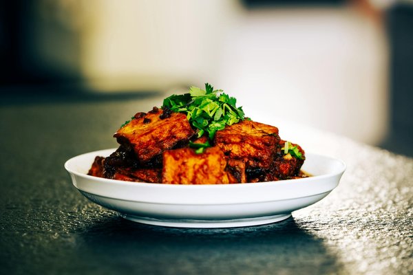 Wie kann man das ideale Haustier für verschiedene Lebensstile auswählen?